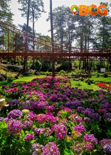 Explore the Stunning Beauty of Baguio Botanical Garden.